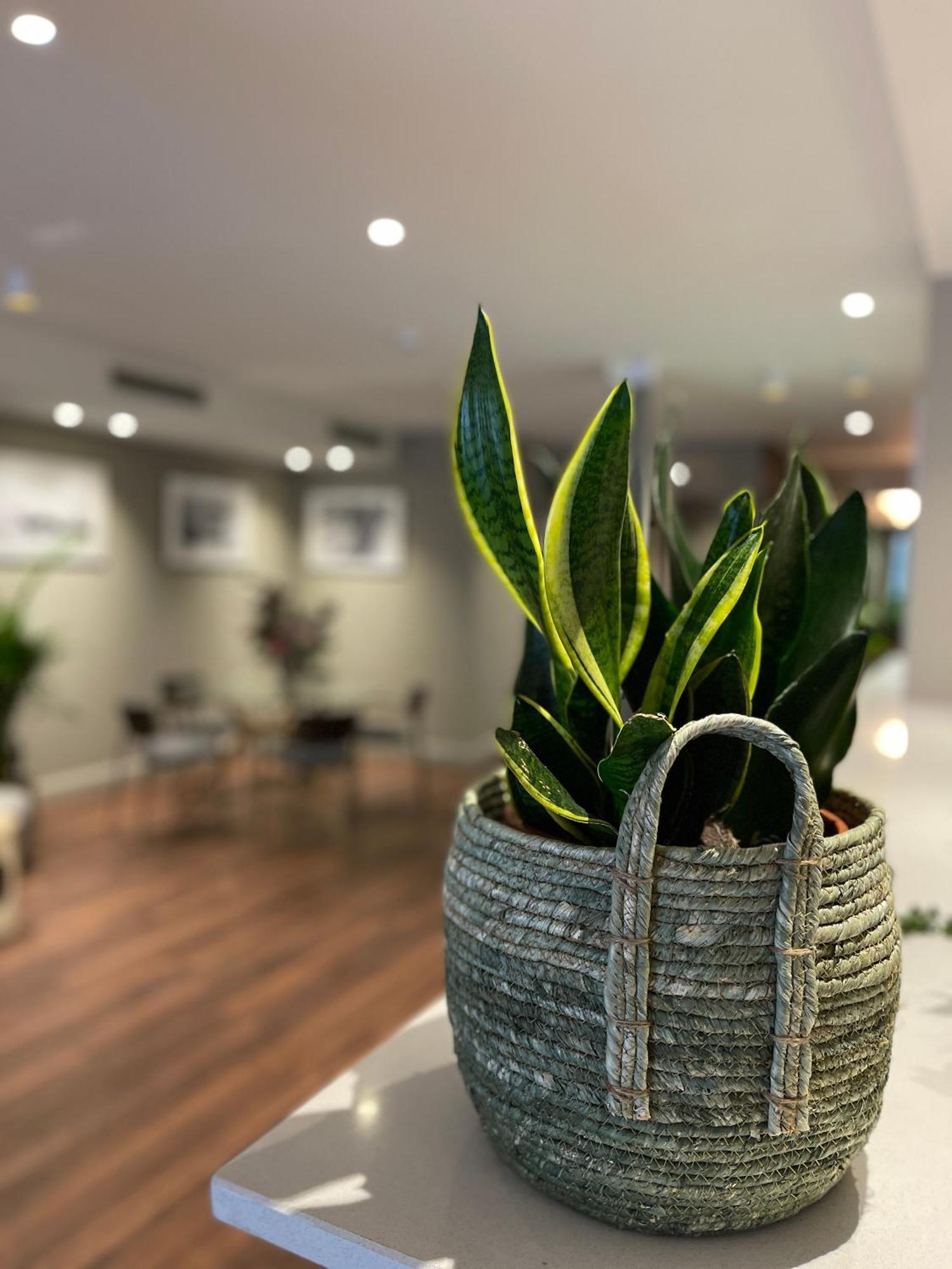 סרגוסה Vtz Hotel San Valero מראה חיצוני תמונה